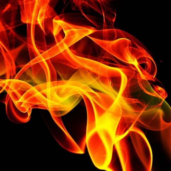 Meet your Posher, Tyrone - Picture 1 of 1